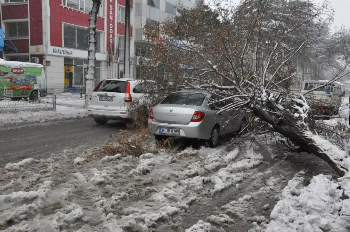 Bitlis\'te Eğitime Kar Engeli