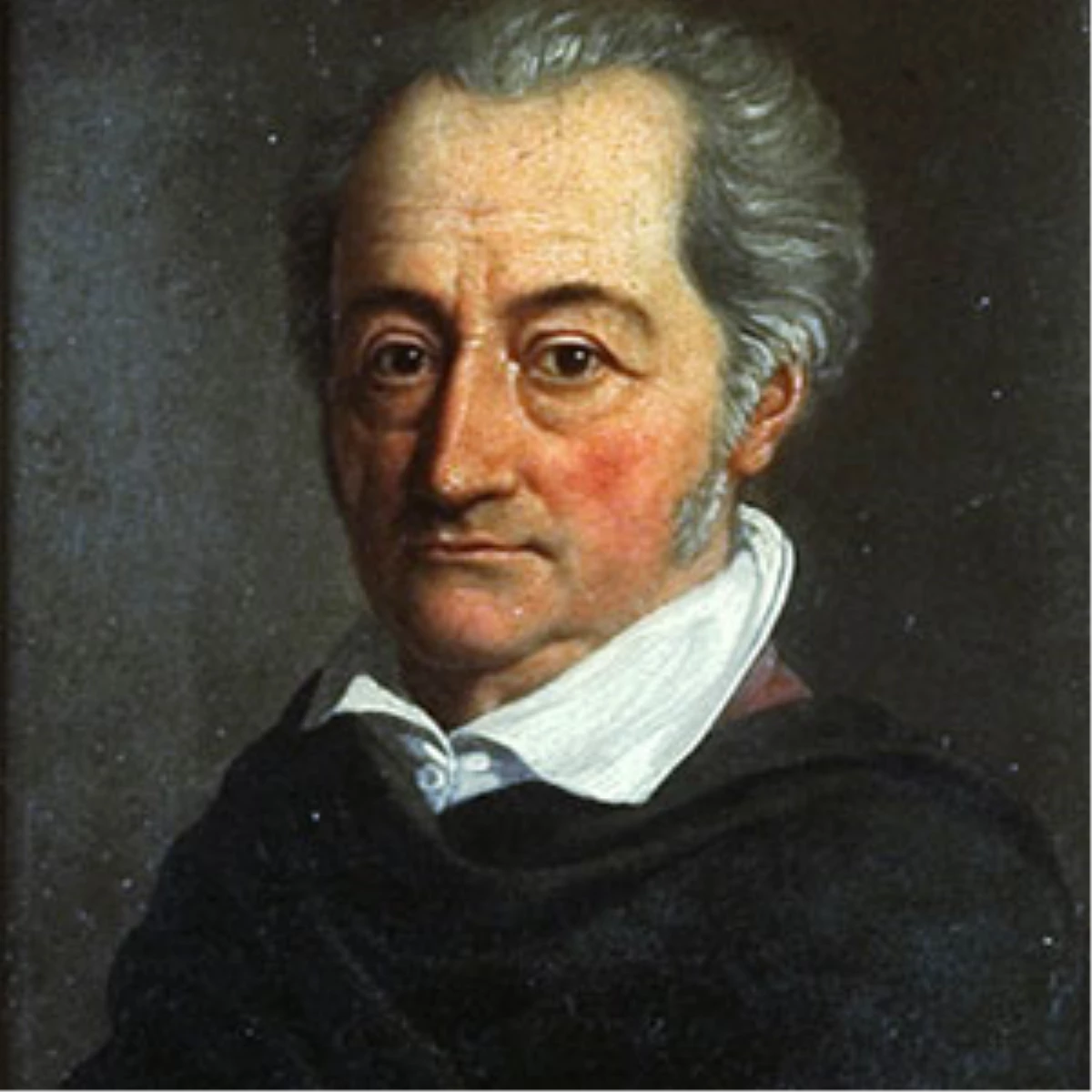 Goethe Türk Çıktı!