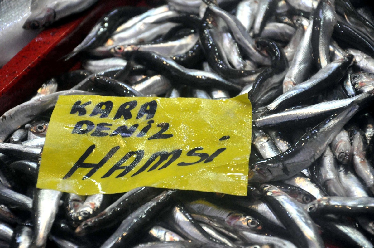 Hamsi Az Olunca Kilosu 10 Liraya Kadar Çıktı