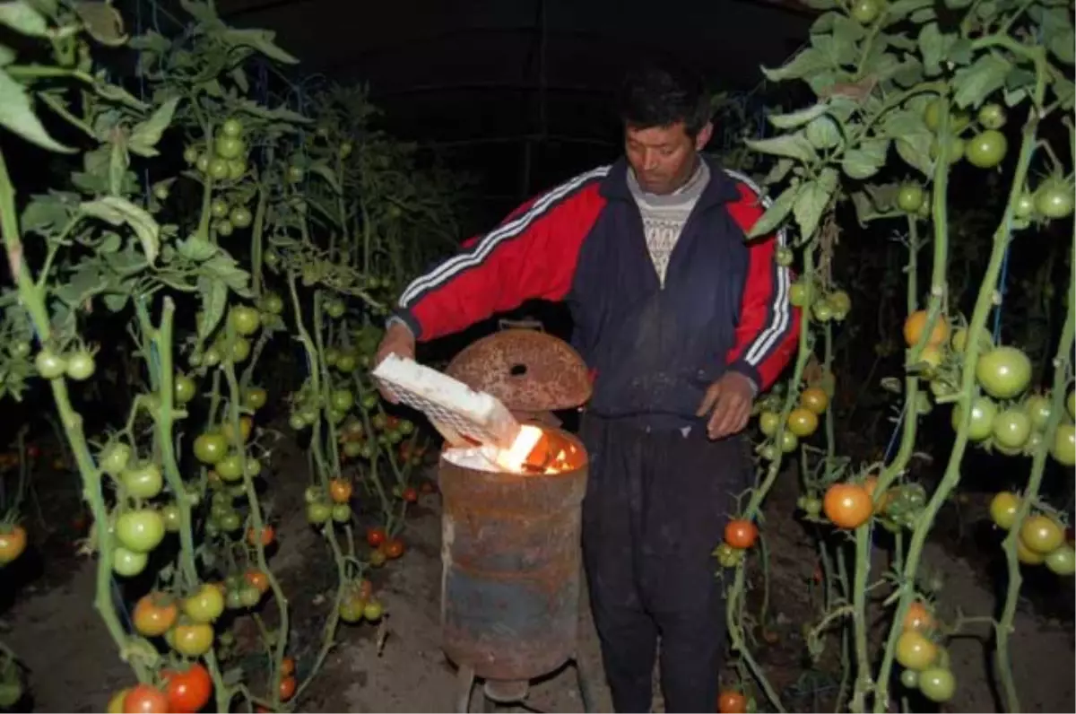 Çiftçiler Ürünlerini Dondan Korumaya Çalışıyor