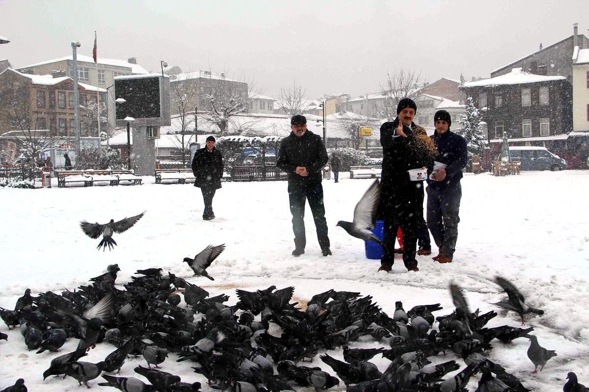 Sahipsiz Hayvanlar İçin Yiyecek Bırakıldı