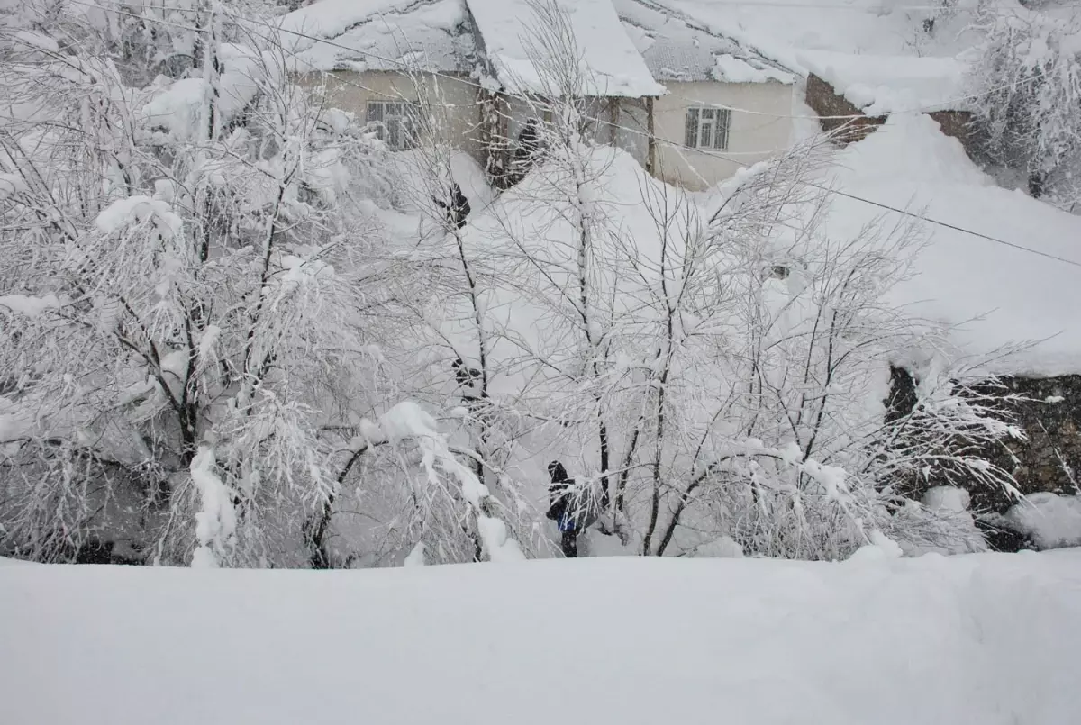 Şemdinli\'de Kar Esareti