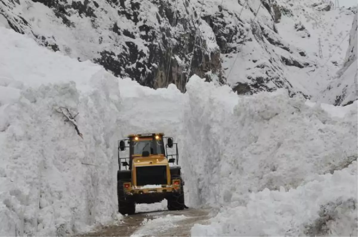 Van, Hakkari ve Bitliste 761 Köy ve 375 Mezranın Yolu Kapalı (4)