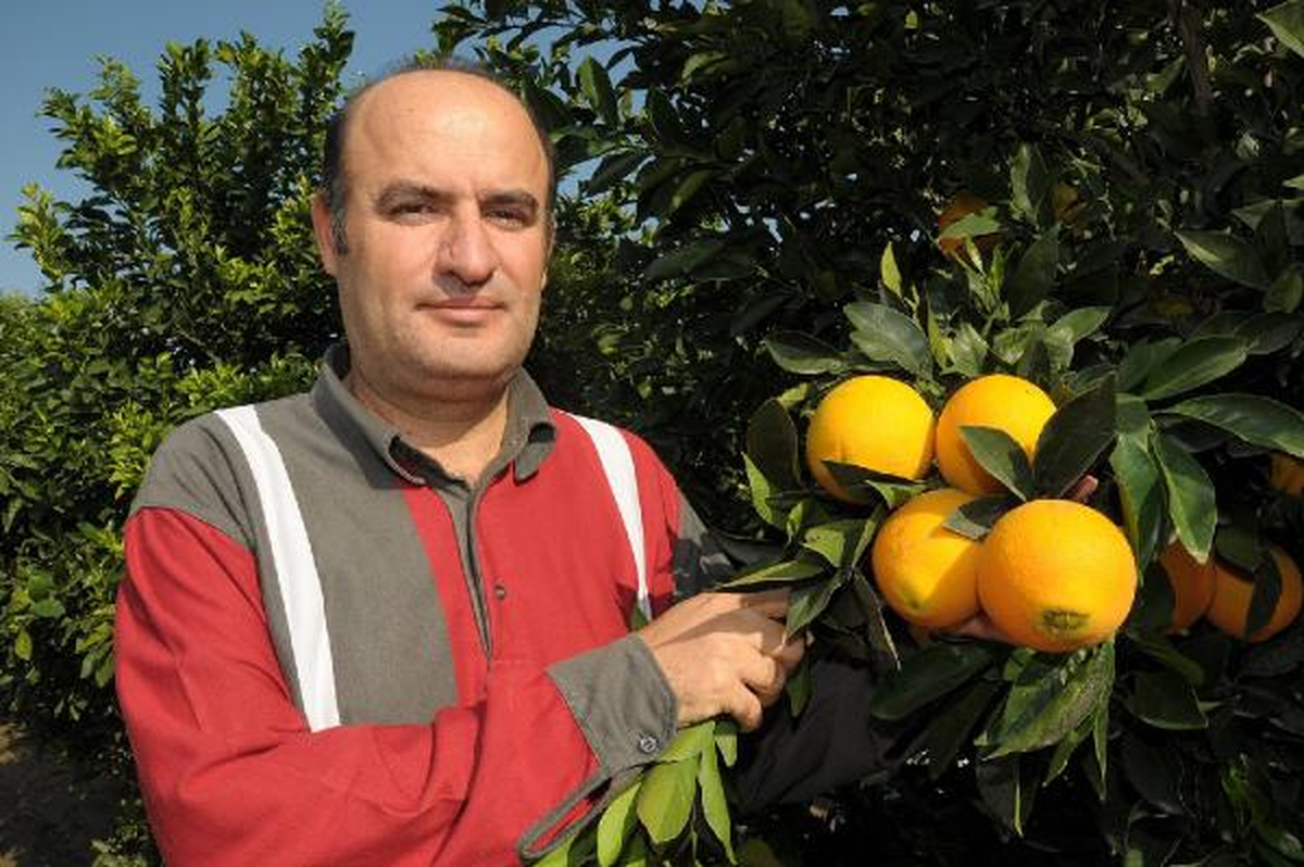 Bahçede 35 Kuruş Olan Portakal, Markette 6 Liraya Kadar Çıkıyor