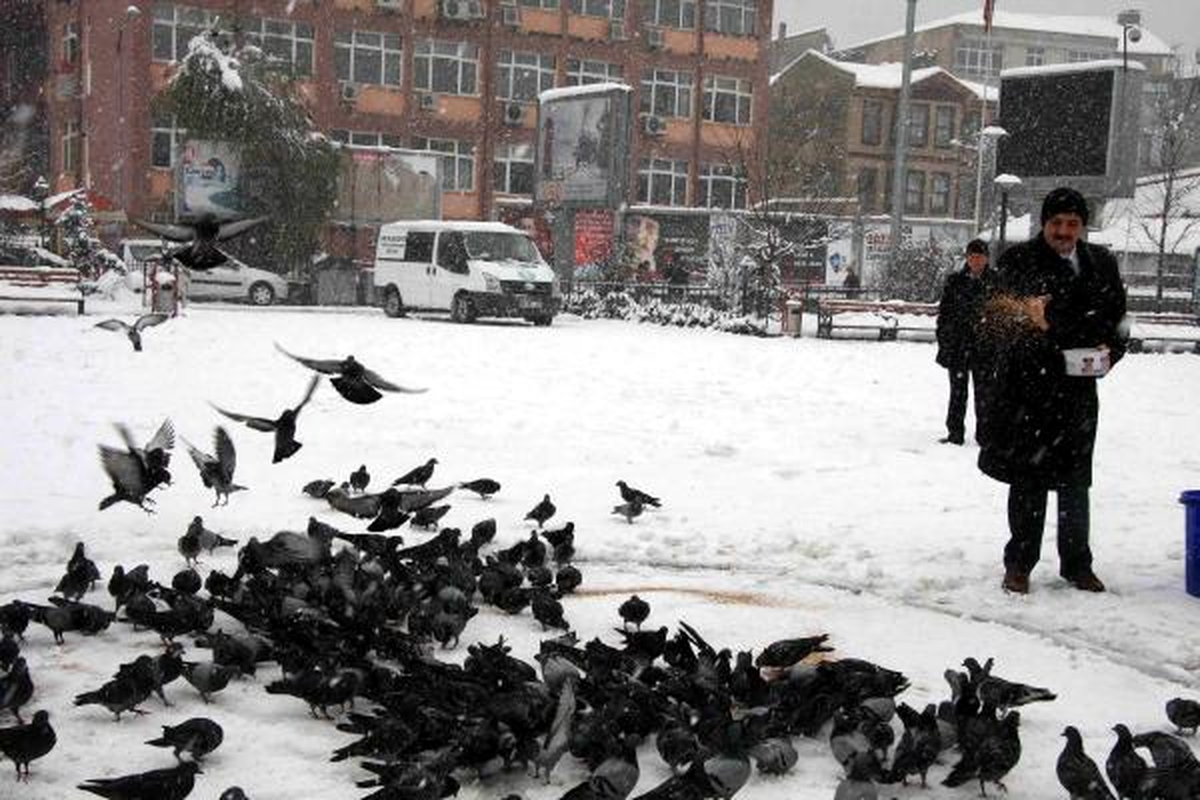 Belediye Başkanı Güvercinlere Yem Verdi