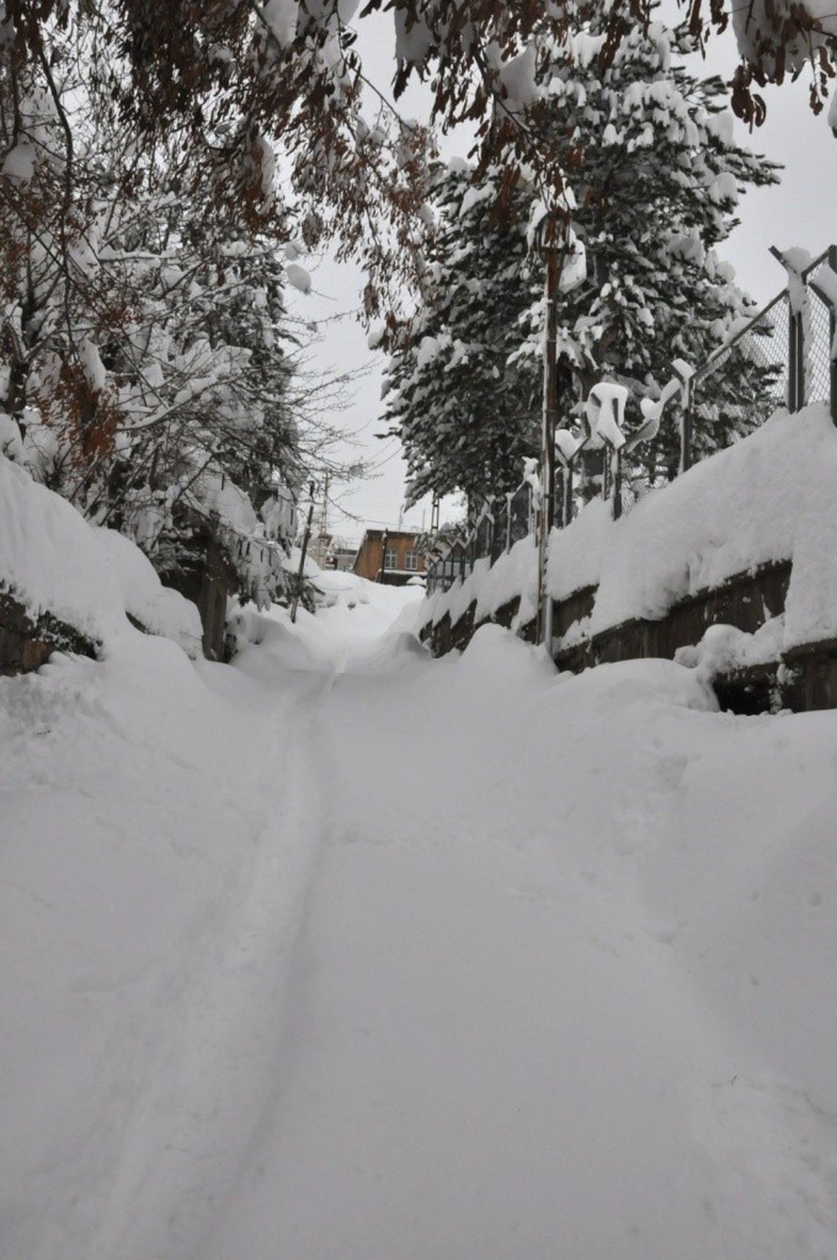 Bitlis\'te Araçları Korumak İçin İlginç Yöntem