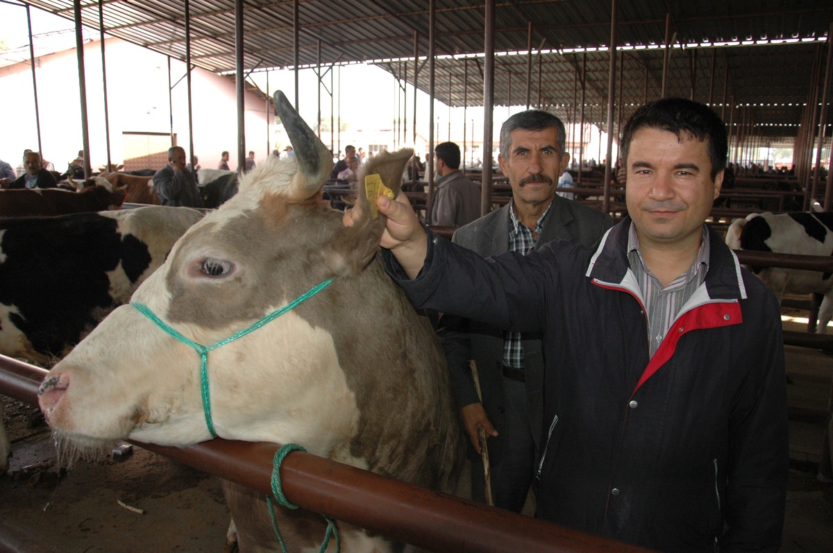 Elbistan\'da Belediye Hayvan Borsası Yeniden Açıldı