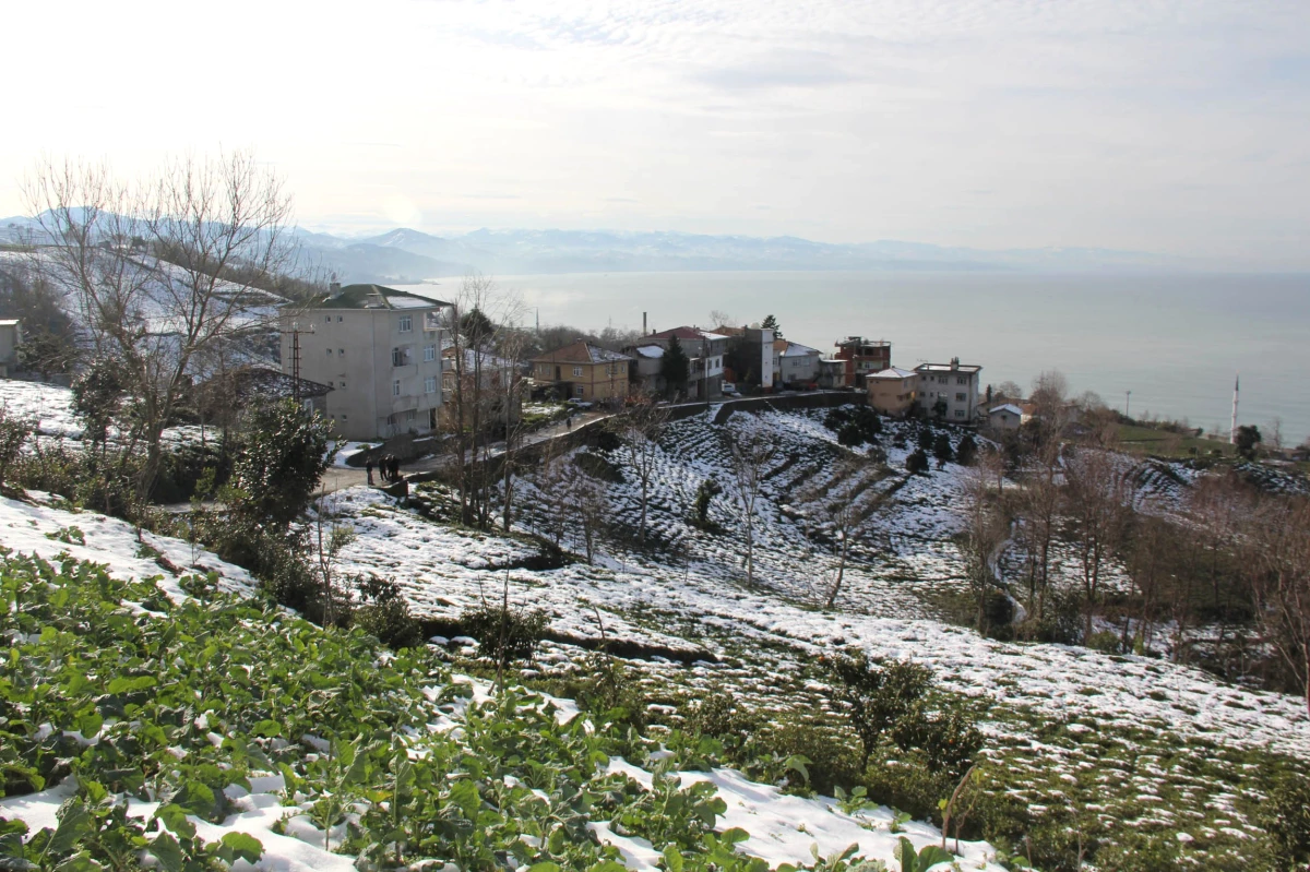 Rize\'de Heyelan