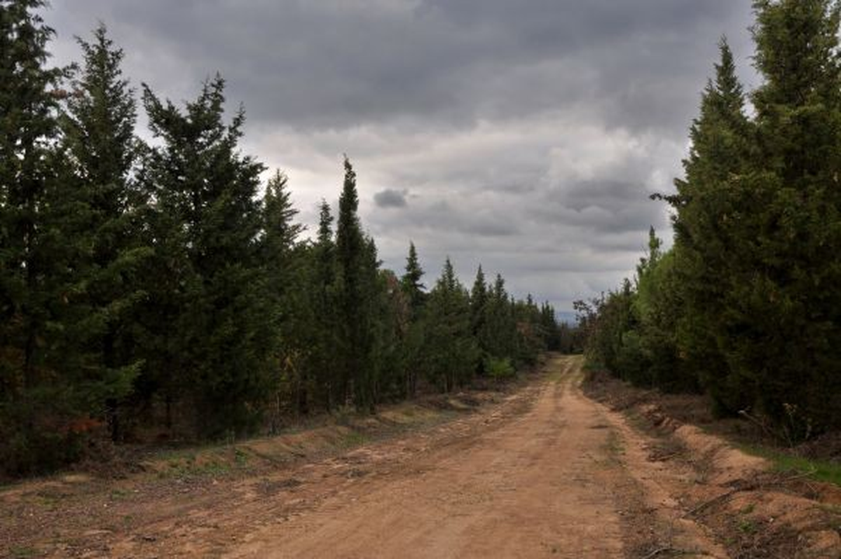 Yardop Çalışmaları Tamamlandı