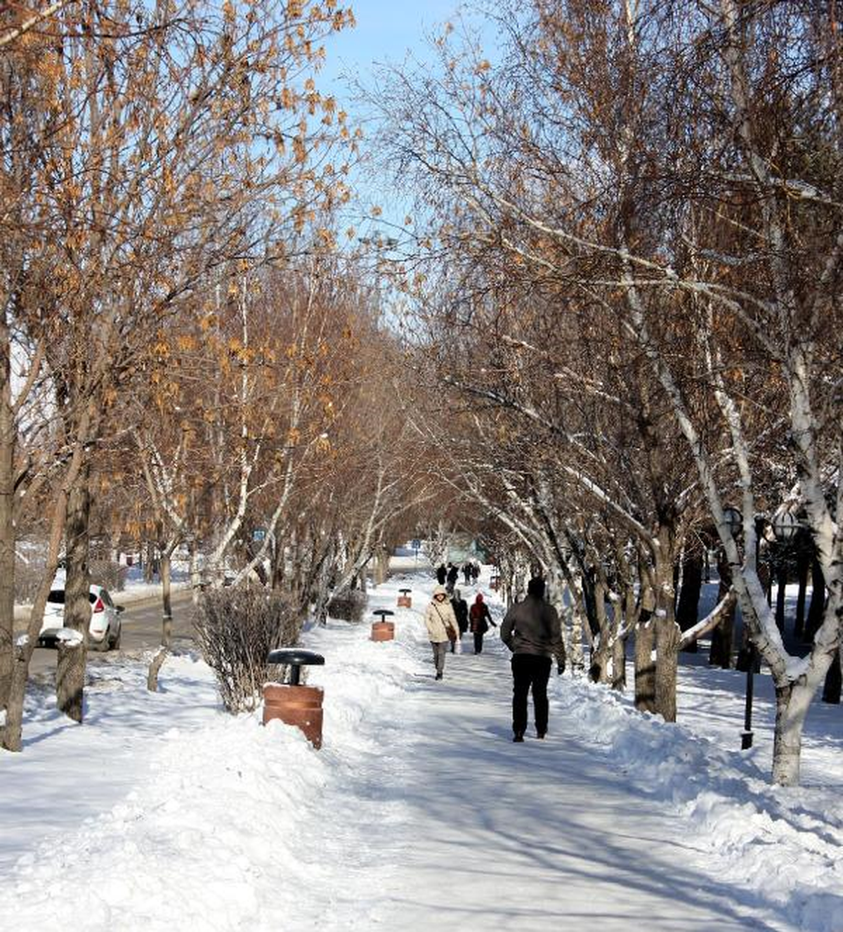 Erzurum\'da En Yüksek Sıcaklık: Eksi 19