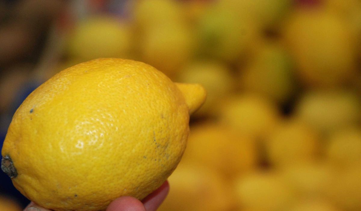 Soğuk Algınlığına Karşı Limon