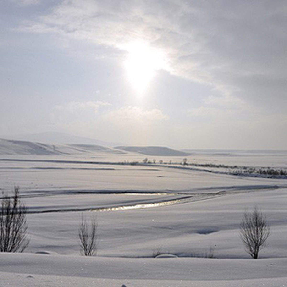 Kars Buz Tuttu
