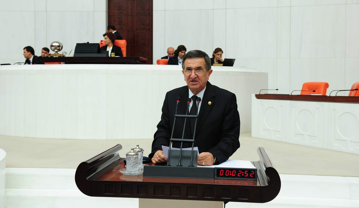 Telef Olan Hayvanlar Meclis Gündeminde…