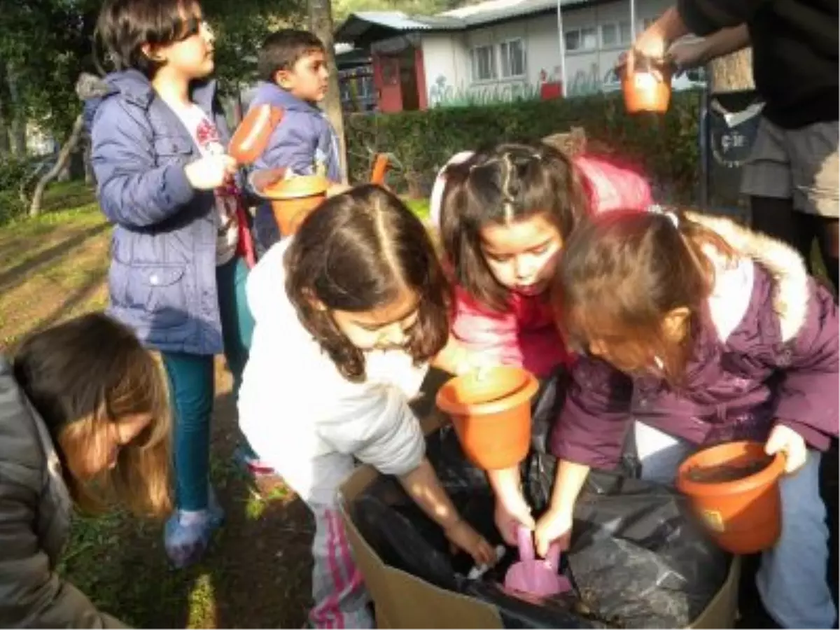 İzelman Ormanı İçin "ilk Tohumlar" Böyle Ekildi