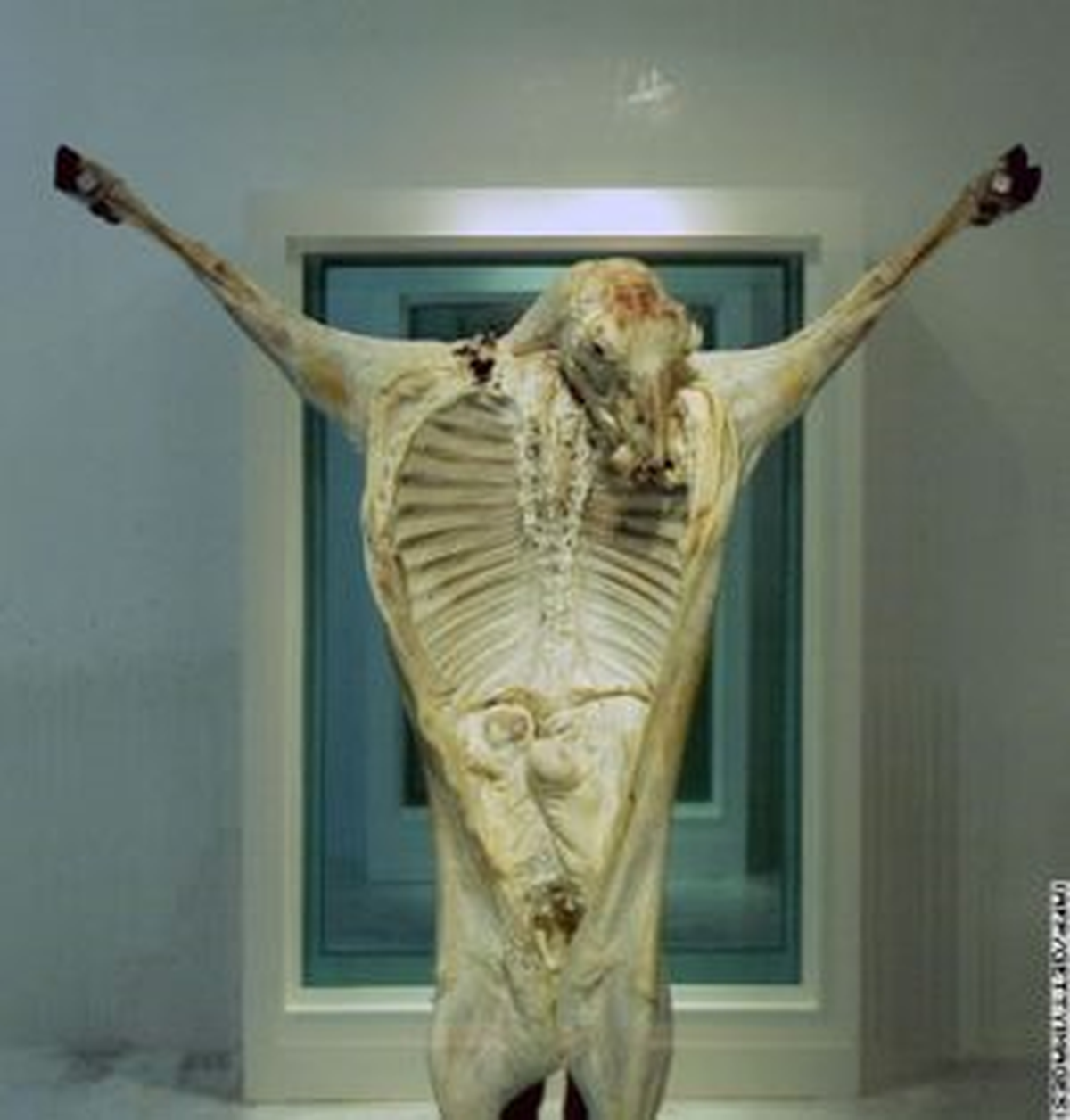 Sanat mı Cinayet mi ? Damien Hirst İstanbul\'da