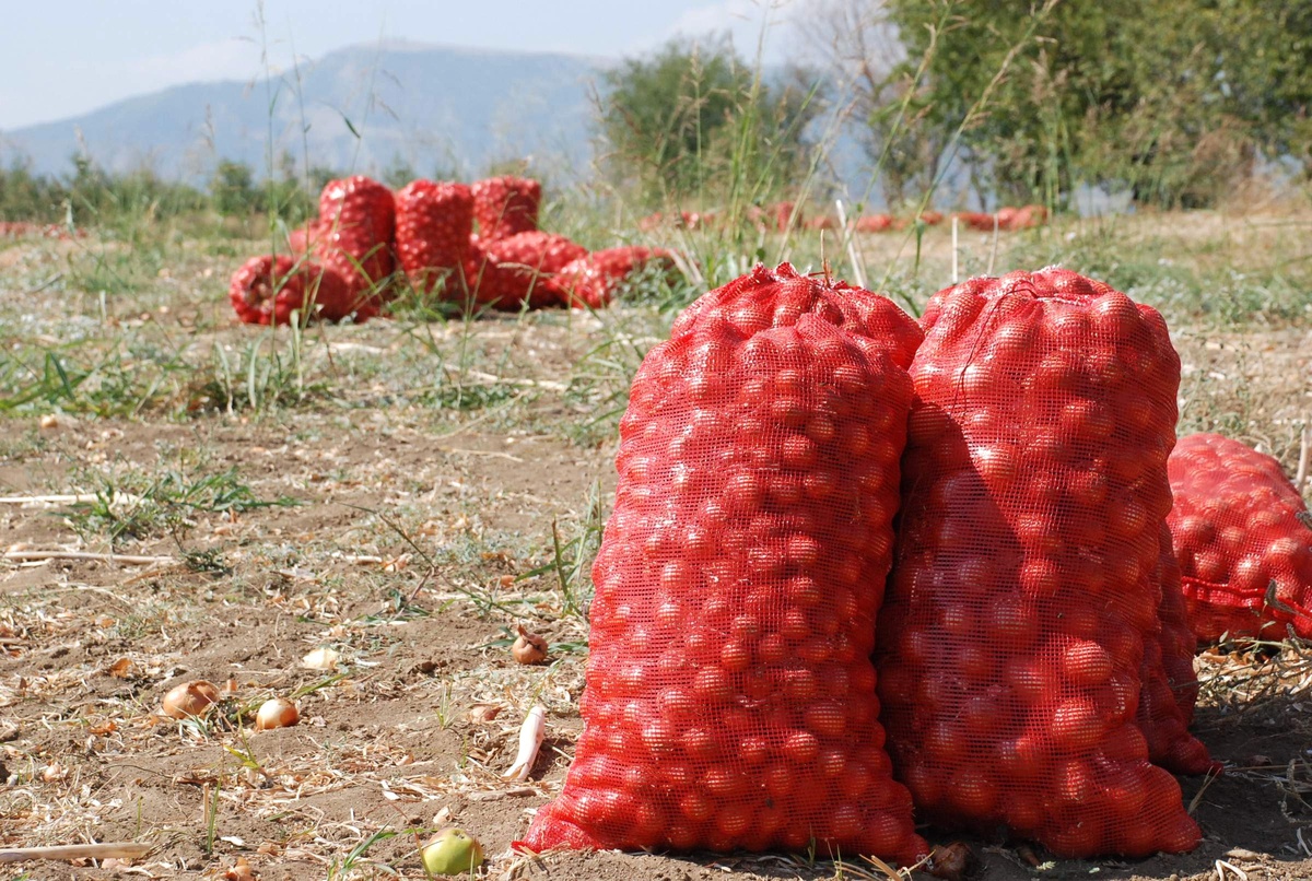 Tokat\'ta 3 Milyon Ton Yaş Sebze Yetiştiriliyor