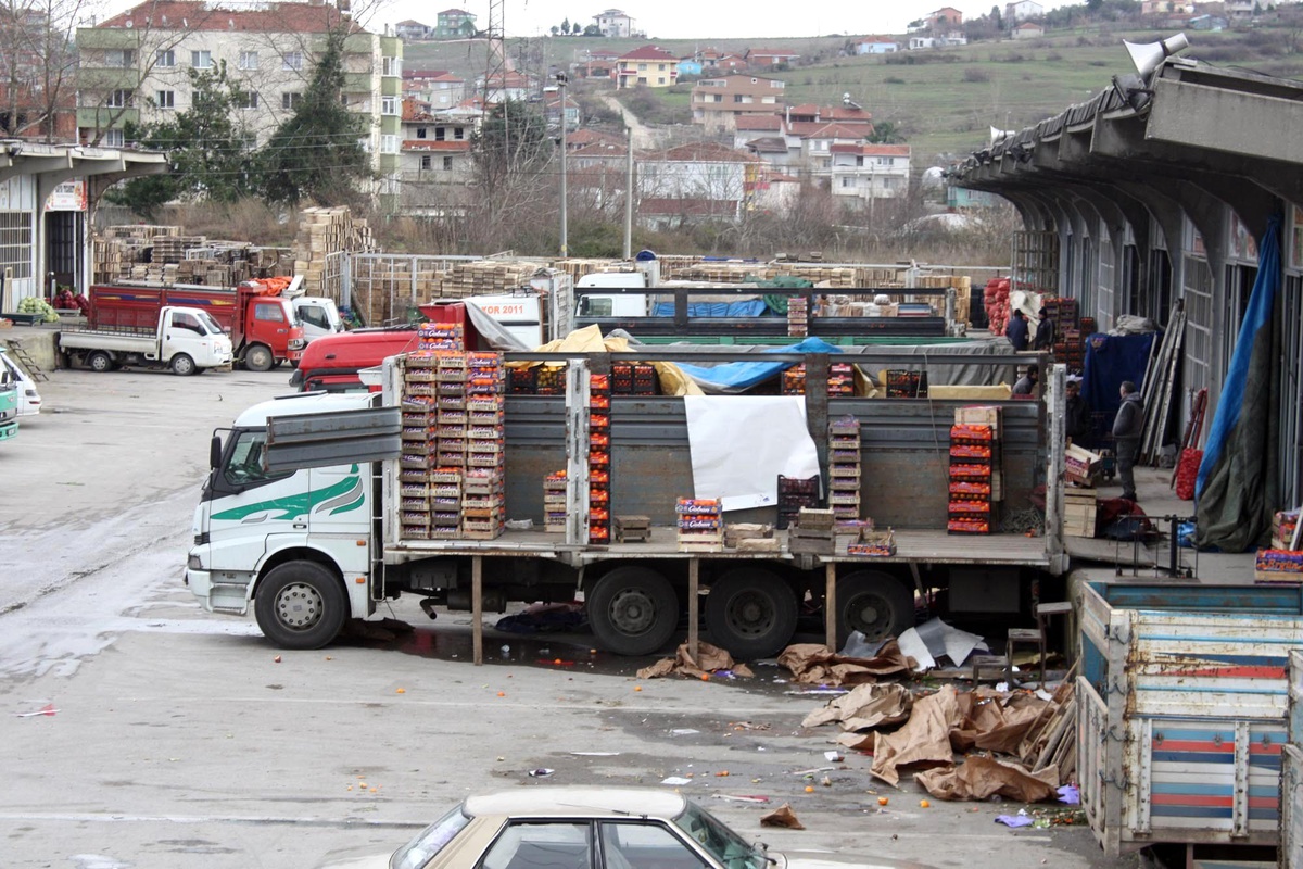 Yalovalılar 22 Bin Ton Sebze ve Meyve Yedi