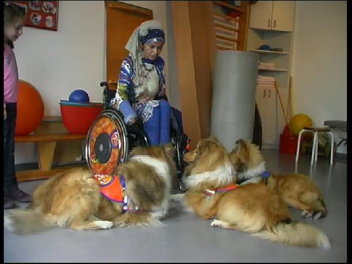 Engelleri Aşmak İçin Köpek Eğitiyor