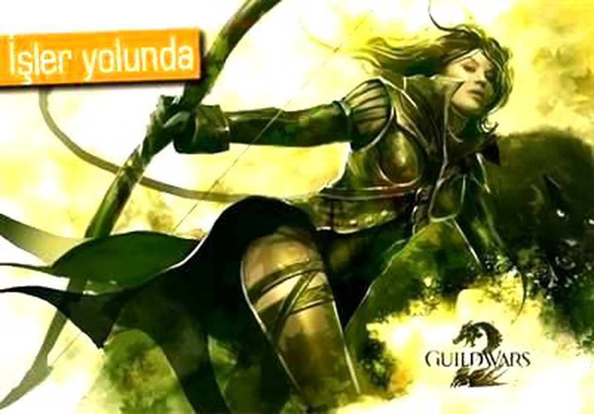 Guild Wars 2\'nin Satış Rakamı Açıklandı