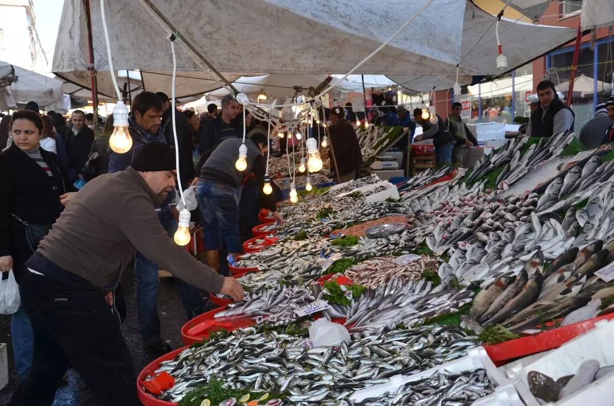 Kocaeli'de Balık Fiyatları