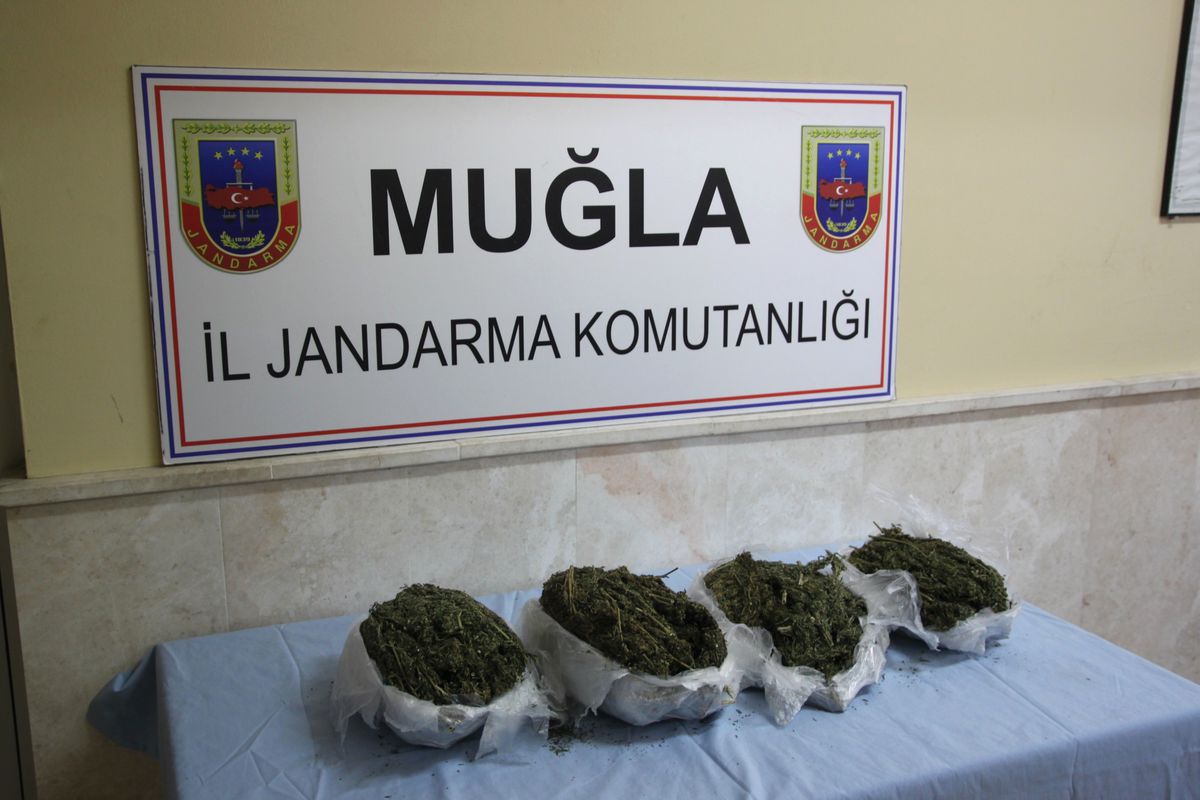 Milas\'ta Uyuşturucu Operasyonu