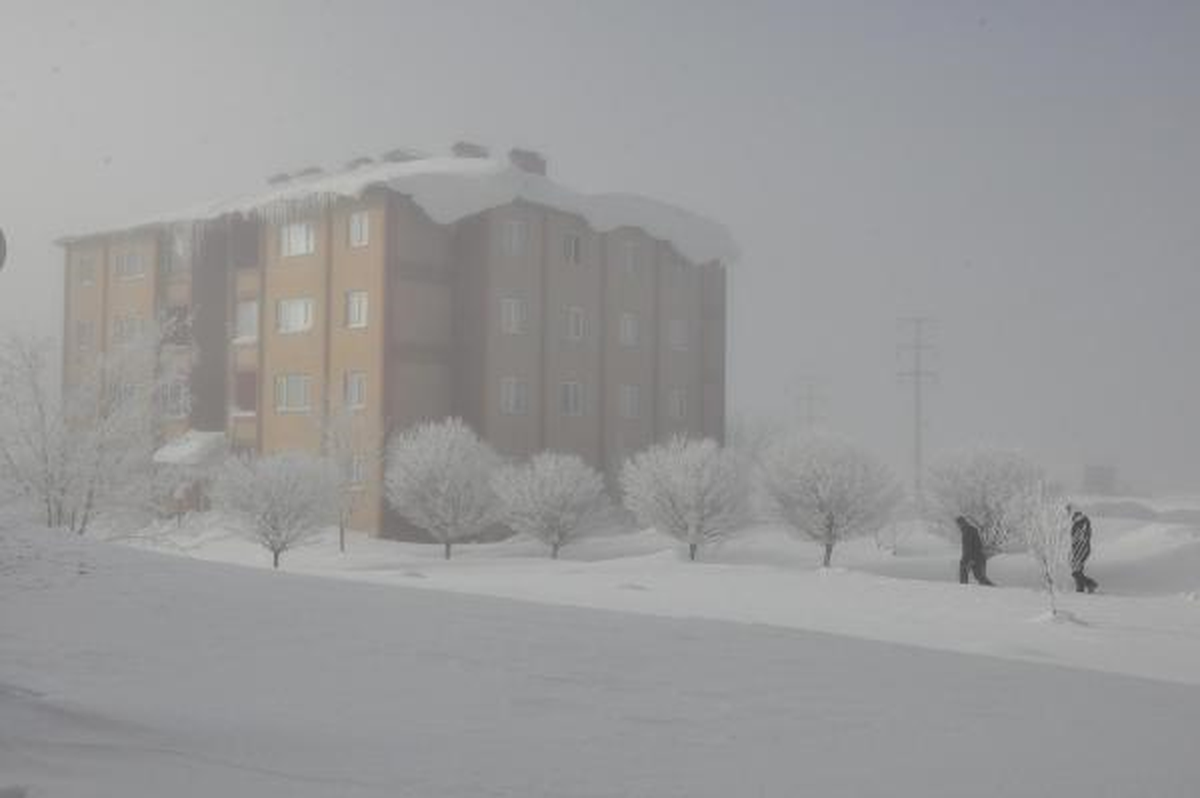 Van ve Bitlis\'te Kar Yağışı Durdu, Yol Açma Çalışmaları Sürüyor