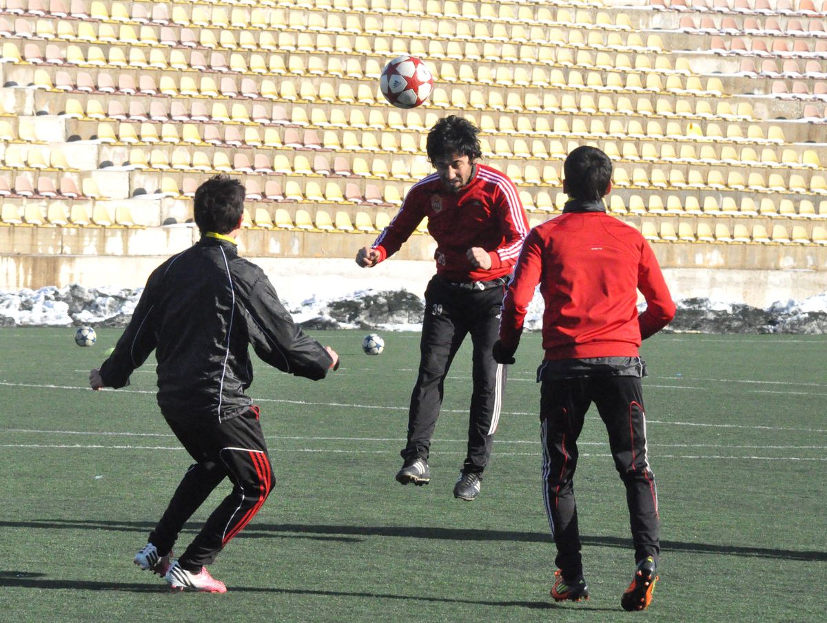 Bal Ligi
