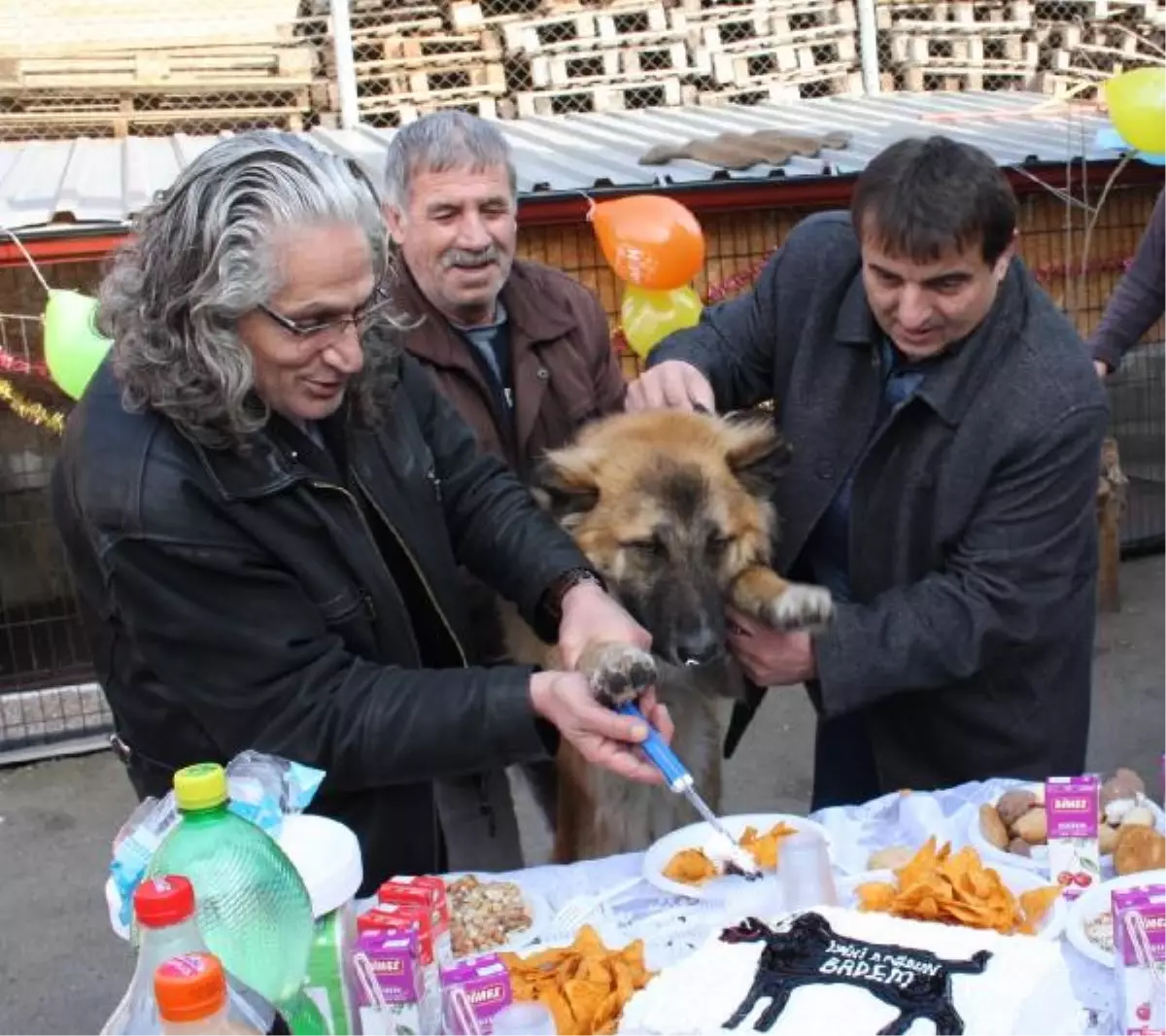 Köpeği İçin Doğum Günü Partisi Düzenledi