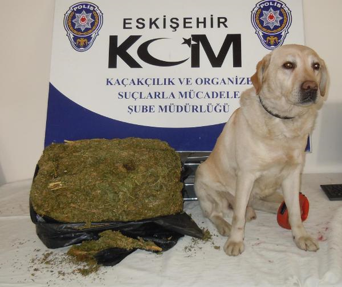 Eskişehir\'de 9 Kilo 875 Gram Esrar Ele Geçirildi
