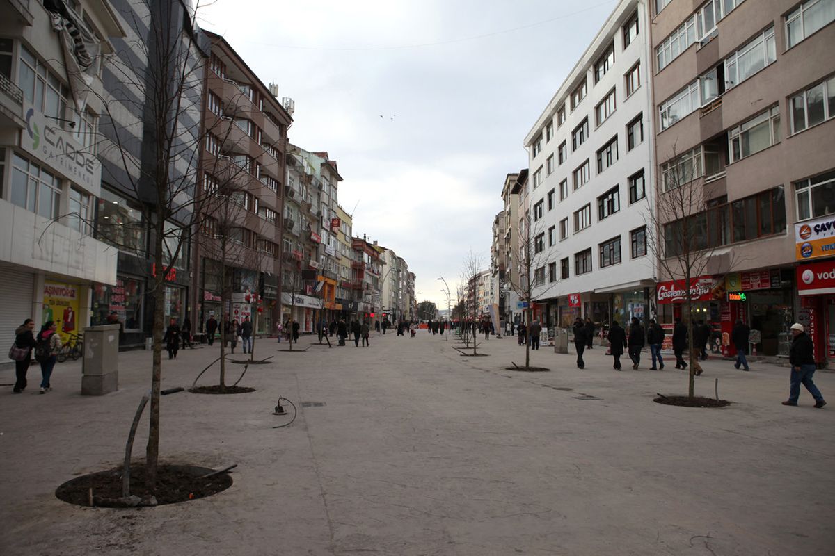 İzzet Baysal Caddesi Ağaçlandırılıyor
