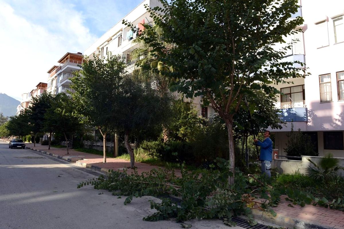 Konyaaltı\'nda Kış Bakımı Devam Ediyor