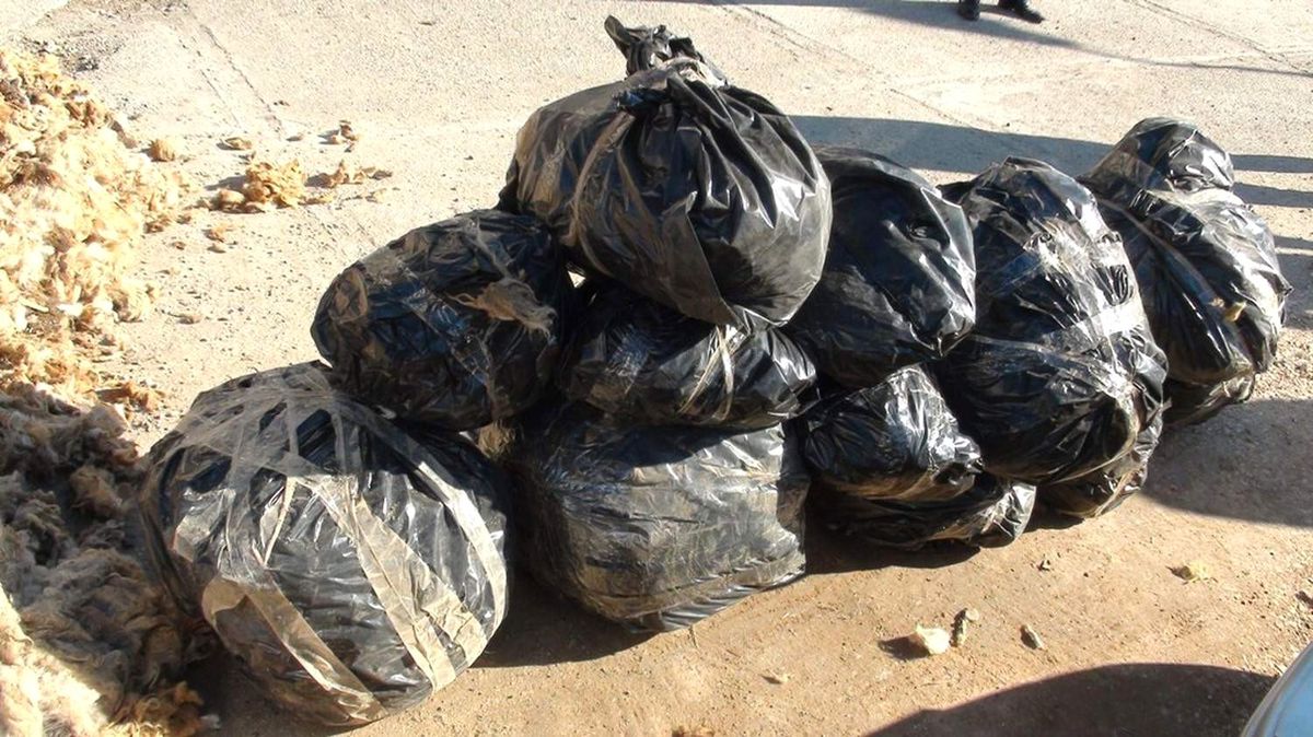 Nizip\'te 65 Kilo Esrar Ele Geçirildi