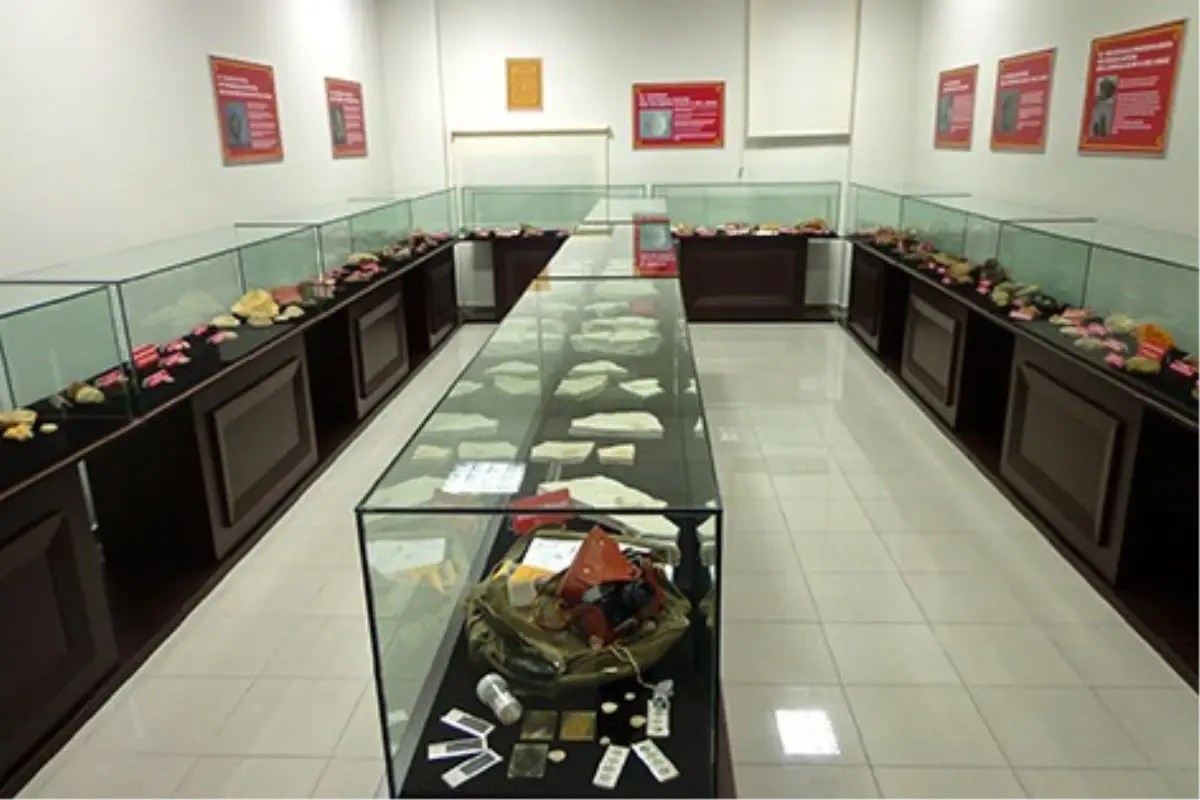 Prof. İnan\'ın Deniz Fosilleri Artık Deniz Müzesi\'nde