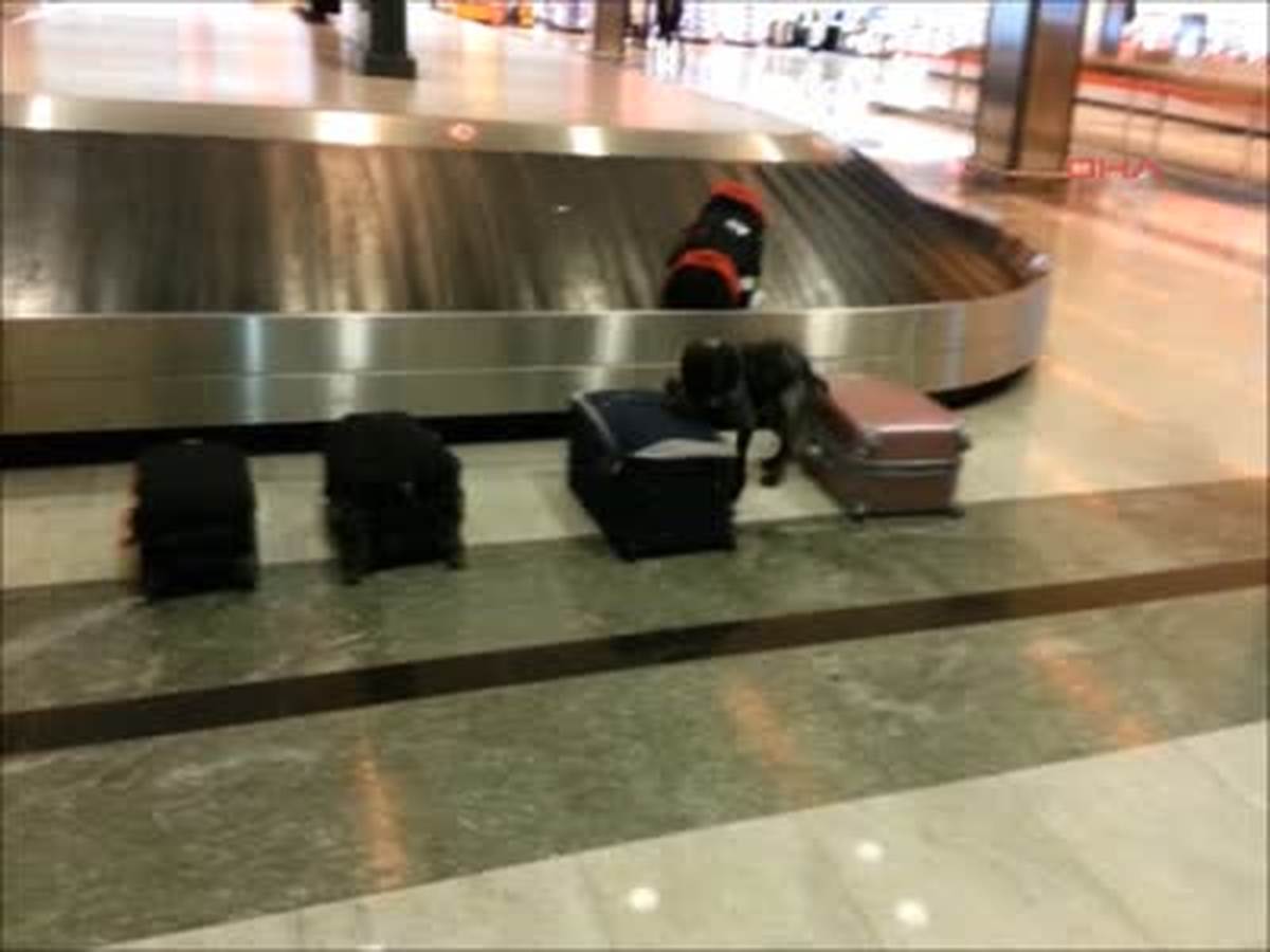 Sabiha Gökçen Havalimanı\'nda Uyuşturucu Operasyonu