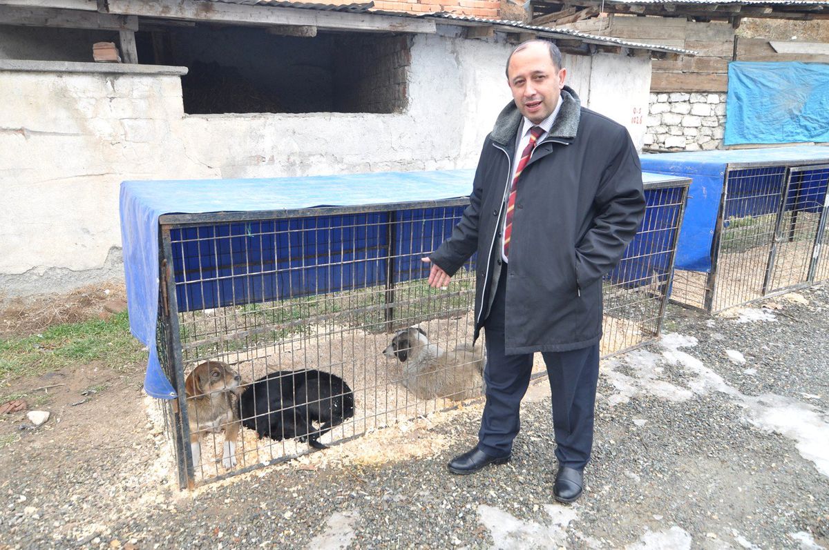 Tosya Belediyesi Kısırlaştır, Aşıla, Yaşat Kampanyasına Başladı