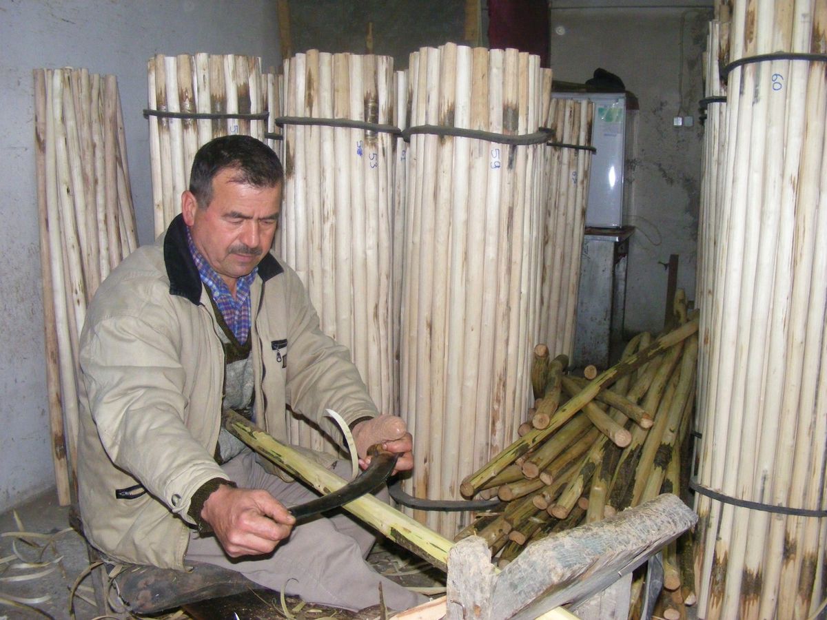 Alaplı\'da Sapçılık Mesleği Teknolojiye Direniyor