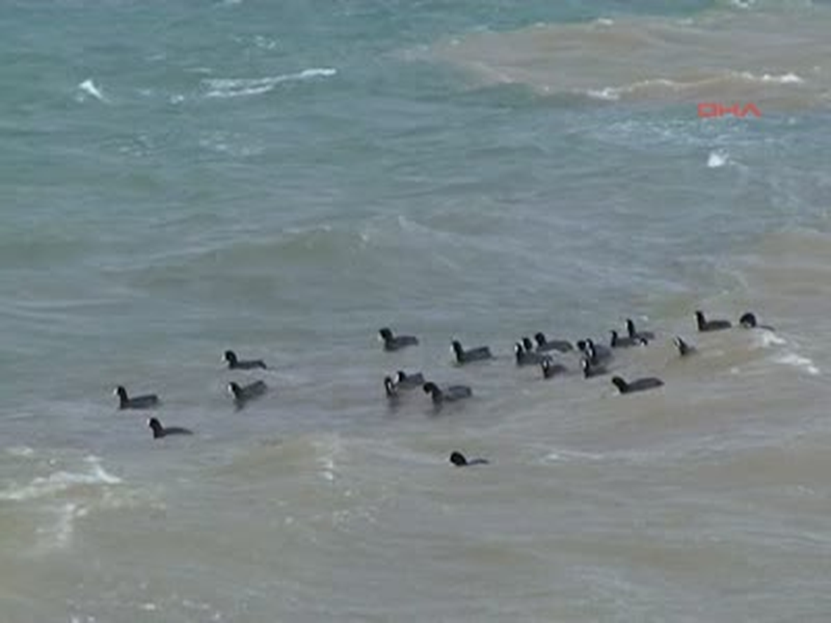 Çanakkale Fırtına Nedeniyle Gökçeada ve Bozcaada\'ya Ulaşım Durdu Fırtına Nedeniyle Gökçeada ve...