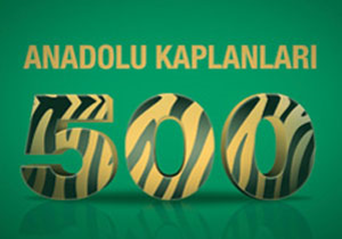 En Büyük 500 Anadolu Kaplanı