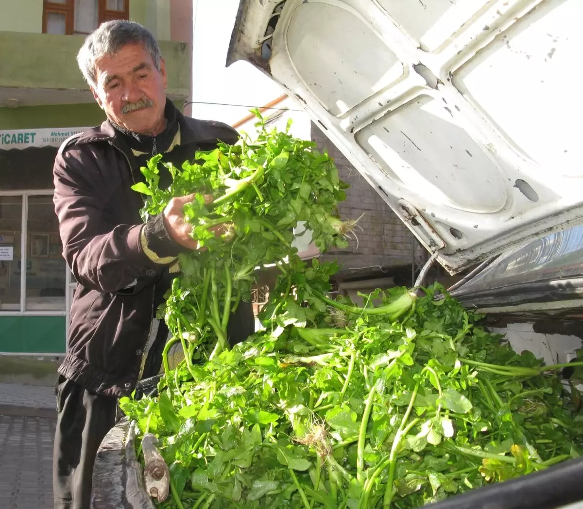 Kazayağı Araban\'da Yok Satıyor