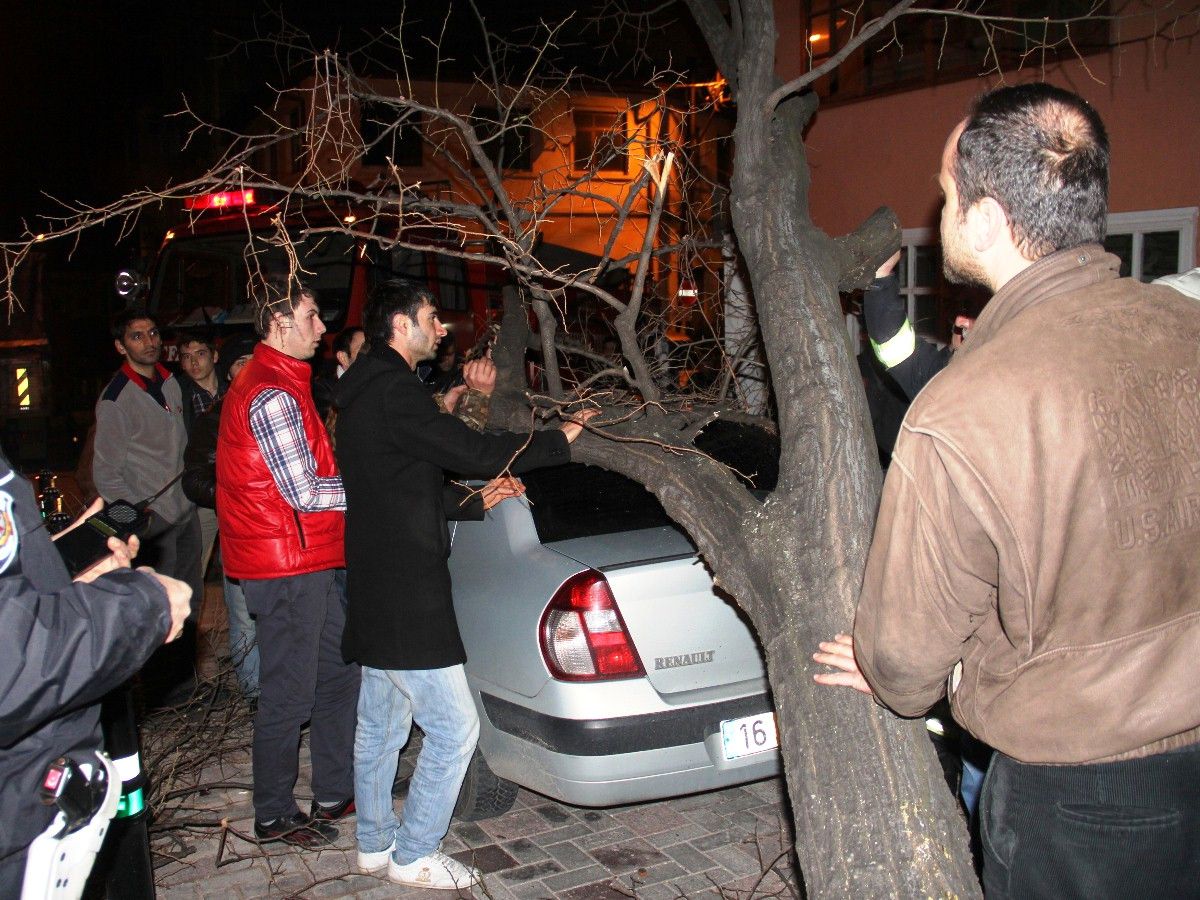 Koca Ağaç Otomobilin Üzerine Düştü