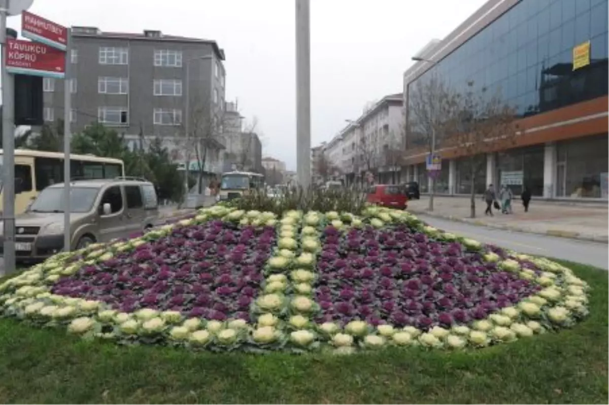 Bağcılar Her Mevsimde Rengarenk