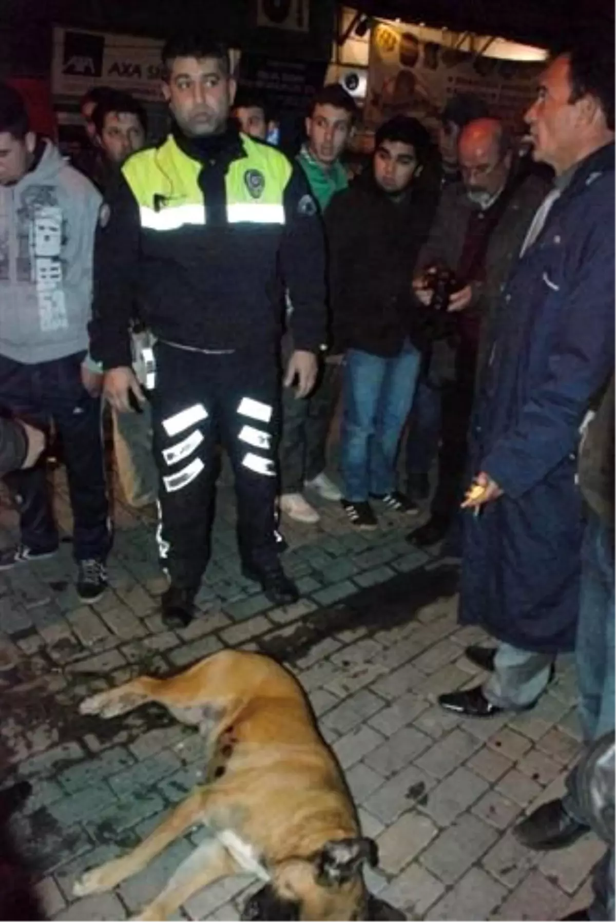 Kendi Köpeğini Korumak İsteyen Polis, Silahını Kullandı