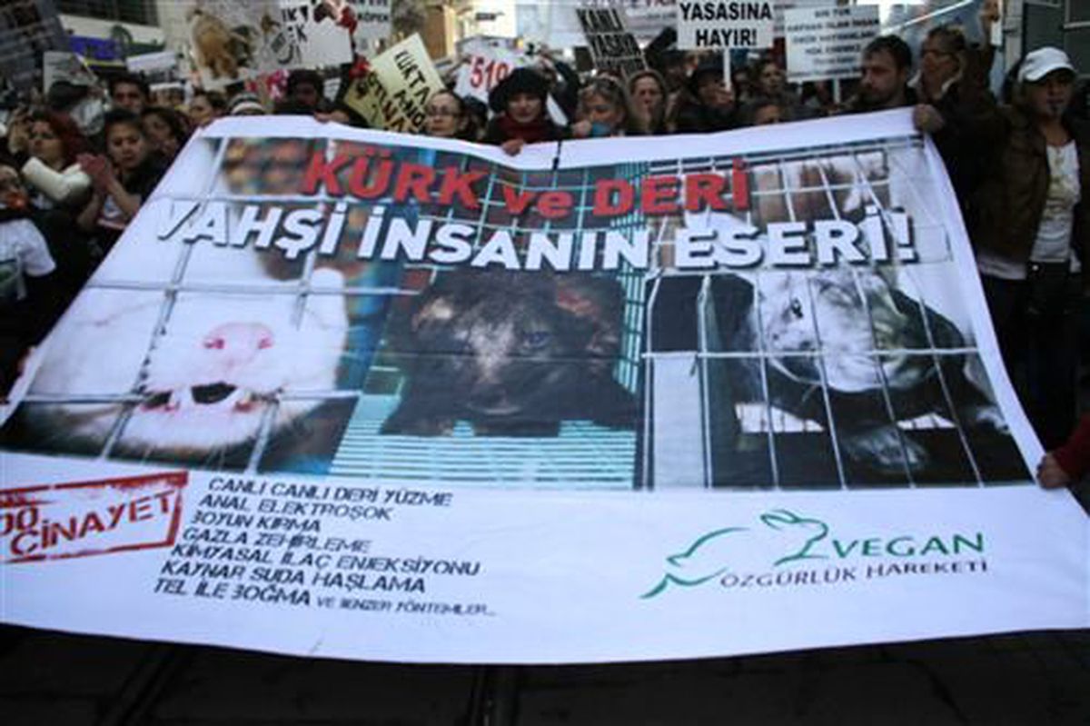 Hayvanseverler Hayvan Hakları İçin Yürüdü