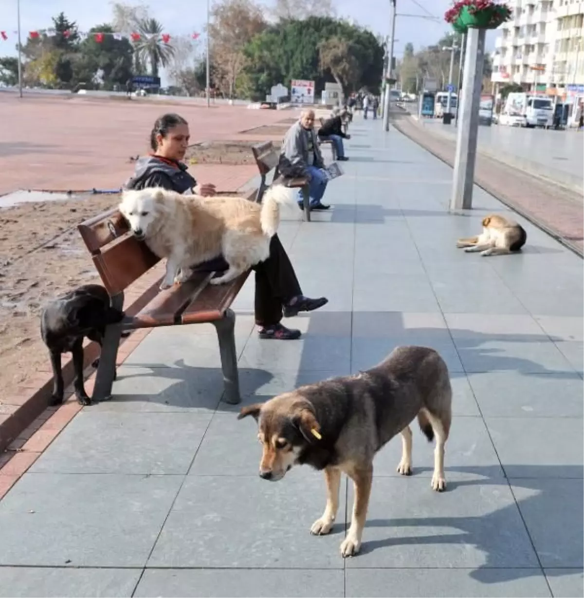 Manavgat\'ta Güneşli Hava