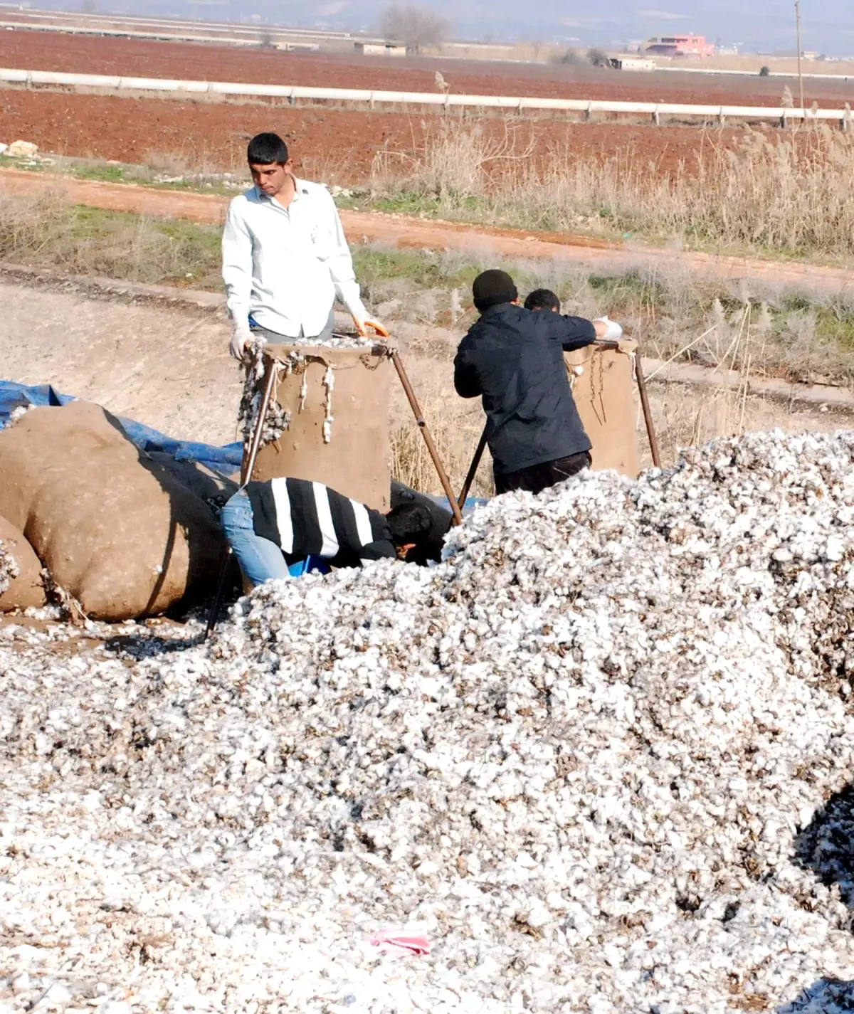 Pamuğun Çöpü Bile Para Ediyor