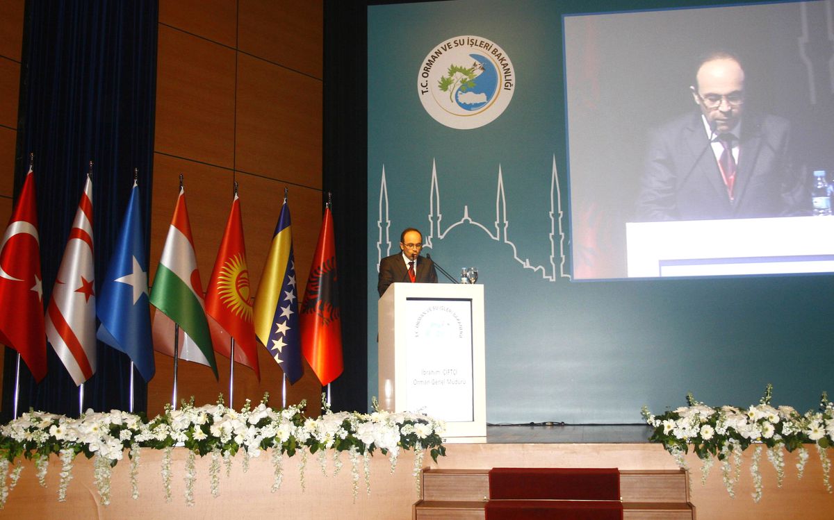 Bakan Eroğlu\'ndan Orman Yangınları Açıklaması