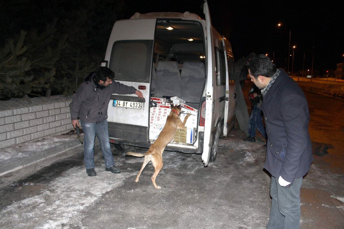 İmranlı\'da 50 Bin Paket Kaçak Sigara Ele Geçirildi
