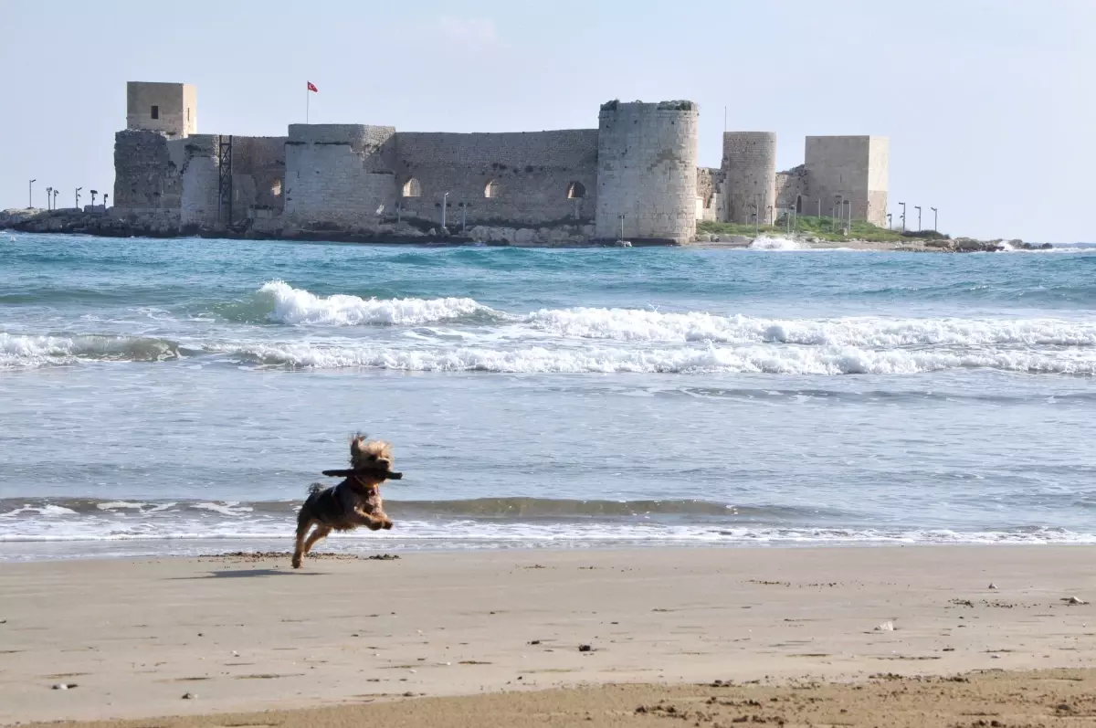 Mersin\'de Yazdan Kalma Günler Yaşanıyor