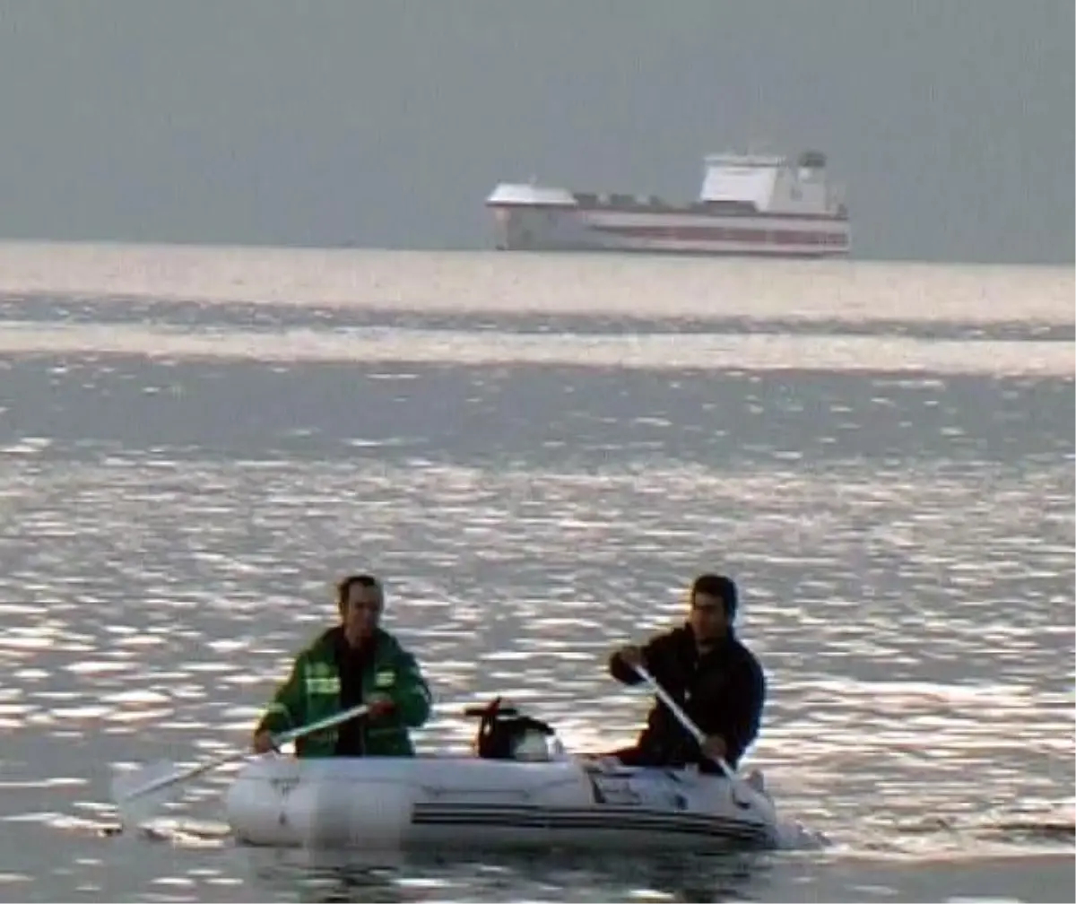 Beklenen Gemiler Türkiye'de