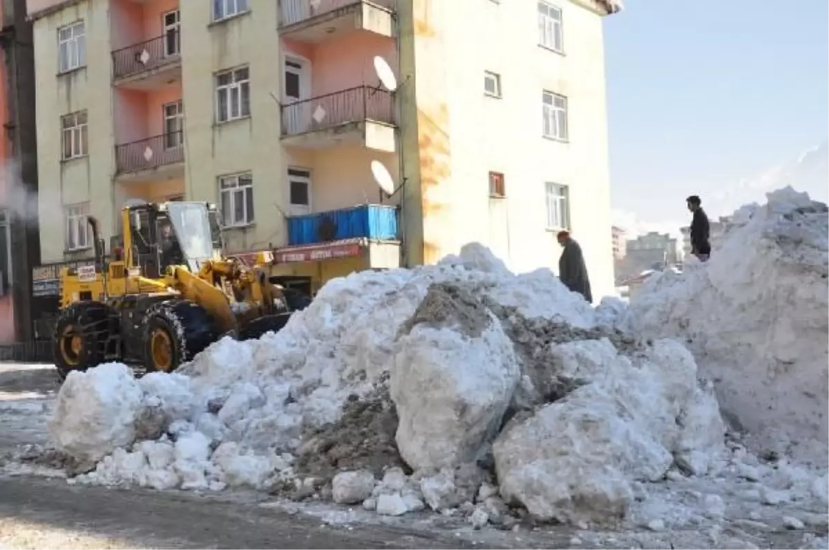 Tatvan\'da Kar Temizleme Çalışmaları